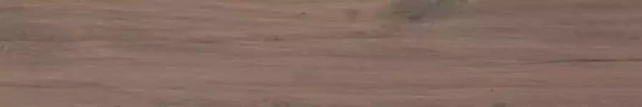 Напольная плитка «Casalgrande Padana» Tavolato Matt. 91x15 3480145 marrone medio