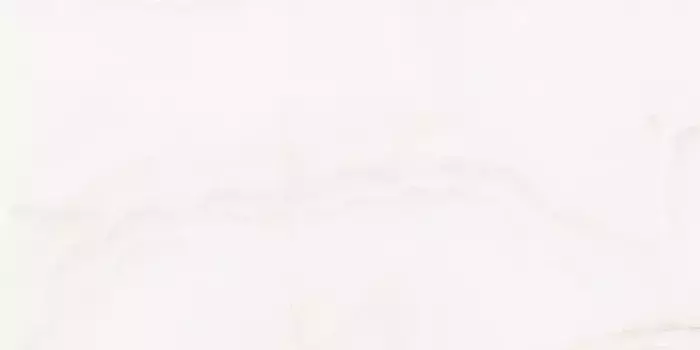 Напольная плитка «Ceradim» Onyx Imperator Polish. 120x60 х9999302397 white