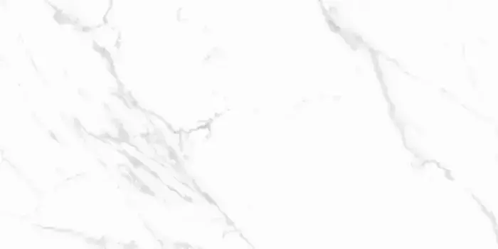 Напольная плитка «Ceradim» Statuario Justice Polish. 120х60 х9999304221 grey