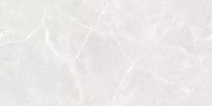 Напольная плитка «Ceradim» Stone Cool Polish. 120x60 х9999304584 white