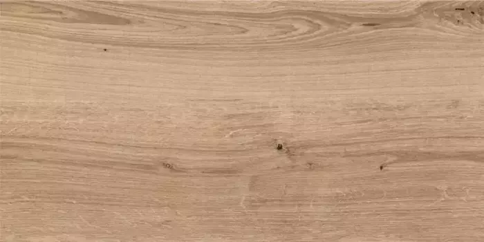 Напольная плитка «Cersanit» Woodhouse Matt. 59,8x29,7 WS4O152 тёмно-бежевый