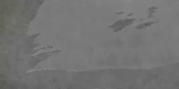 Напольная плитка «Coliseumgres» Ardesia Matt. 120x60 610010002693 грэй