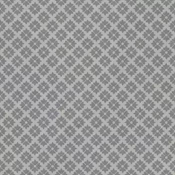 Напольная плитка «Colortile» Parco Matt. 60x60 carving 00000017007 gris