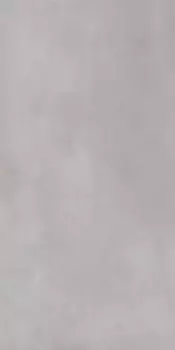 Напольная плитка «Eurotile Ceramica» Continuo 322 Matt. 120x60 01-00108934 light gray