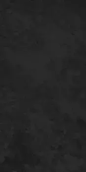 Напольная плитка «Eurotile Ceramica» Image 796 Matt. 120х60 01-00108455 dark
