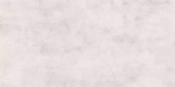 Напольная плитка «Eurotile Ceramica» Plaza 324 Matt. 120x60 01-00108931 light gray