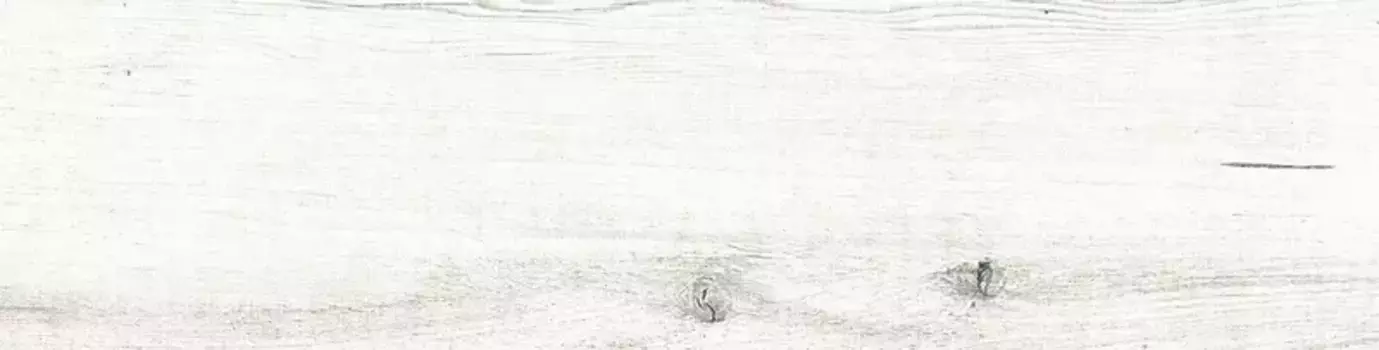 Напольная плитка «Eurotile Ceramica» Zarina 0005 Matt. 60x15 KR000002611 белый