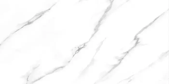 Напольная плитка «Fanal» Carrara NPlus 120x60 918763 белый