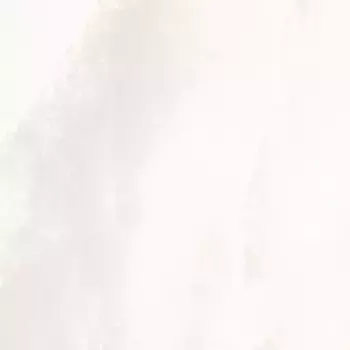 Напольная плитка «Fanal» Onix NPlus Polish. 120x120 925049 blanco