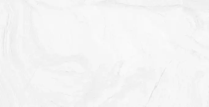 Напольная плитка «Gayafores» Varana Matt. 62,5x32 200000000000011971 blanco