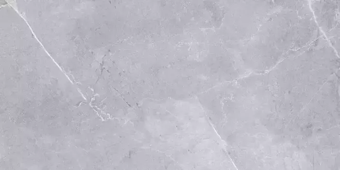 Напольная плитка «Gravita» Amphora Polish. 120x60 78801625 light grey