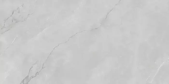 Напольная плитка «Infinity Ceramica» Astonia Silver Line Glossy 120х60 00000017054 silver