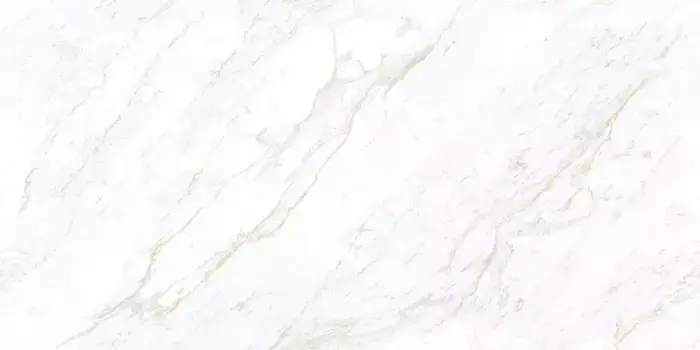 Напольная плитка «Infinity Ceramica» Beatrix Golden Line Glossy 120х60 00000017055 white