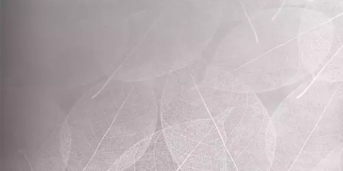 Напольная плитка «Infinity Ceramica» Eleganza Arte Matt. 120х60 carving 00000017043 perla