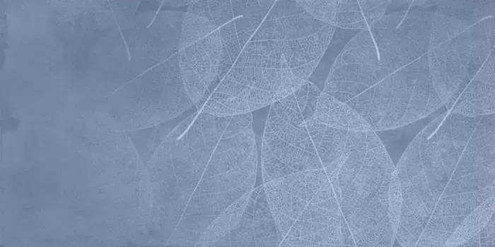 Напольная плитка «Infinity Ceramica» Eleganza Arte Matt. 120х60 carving 00000017049 blu