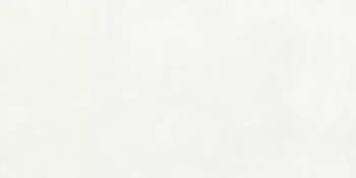 Напольная плитка «Infinity Ceramica» Opera Matt. 120х60 carving 00000017033 white