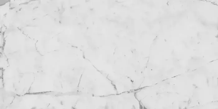 Напольная плитка «Italon» Charme Evo Cerato Matt. 60x30 610015000235 statuario