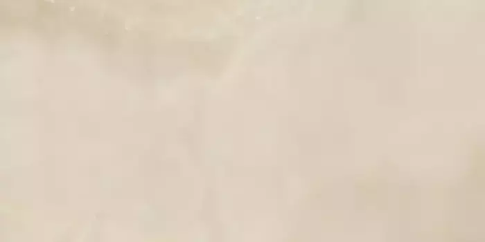 Напольная плитка «Italon» Charme Evo Lux Glossy 88x44 610015000247 onyx