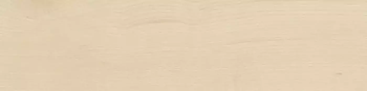 Напольная плитка «Italon» Element Matt. 30x7,5 600010001901 acero