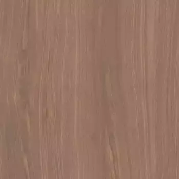 Напольная плитка «Kerama Marazzi» Альберони Matt. 60x60 SG644020R коричневый