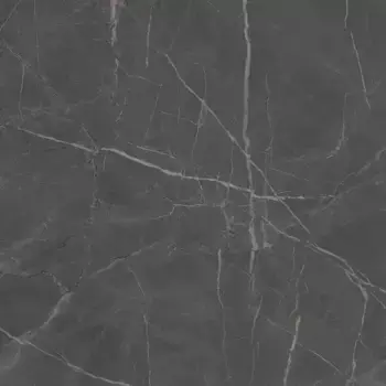 Напольная плитка «Kerama Marazzi» Буонарроти Matt. 60x60 SG642920R серый тёмный