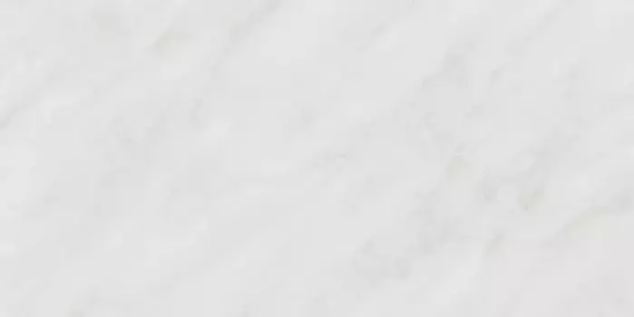 Напольная плитка «Kerama Marazzi» Парнас 160x80 SG570200R светлый