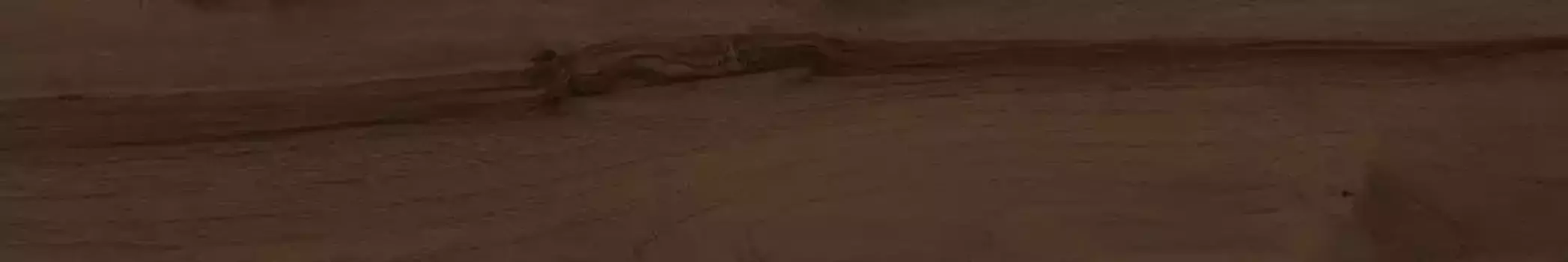 Напольная плитка «Kerama Marazzi» Про Вуд 179x30 DL550200R коричневый