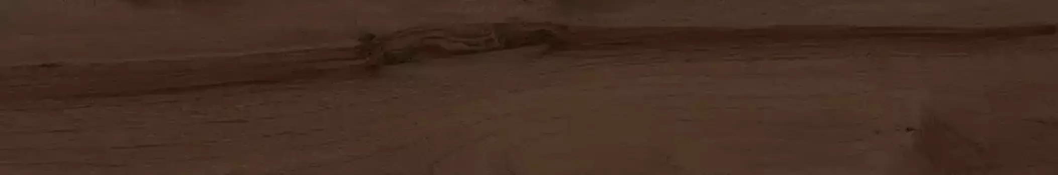 Напольная плитка «Kerama Marazzi» Про Вуд Matt. 119,5х20 DL510320R коричневый