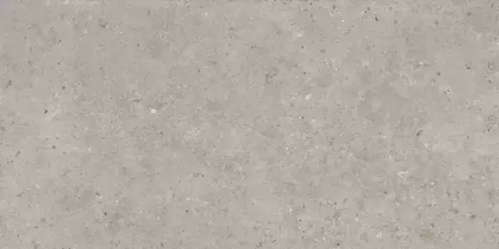 Напольная плитка «Kerama Marazzi» Риккарди 119,5x60 SG519920R серый светлый