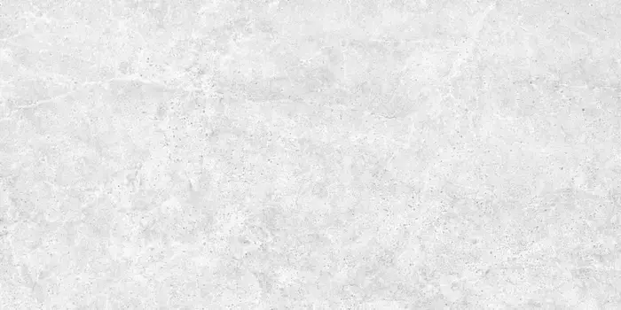 Напольная плитка «Керамин» Хофбург 1 Matt. 60x30 СК000040839 серый