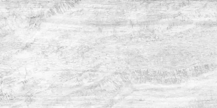 Напольная плитка «Керамин» Легенда 7 Matt. 60x30 СК000014663 белый