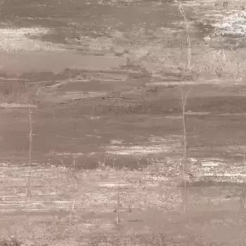 Напольная плитка «Kerlife» Strato Matt. 42х42 917787 sepia