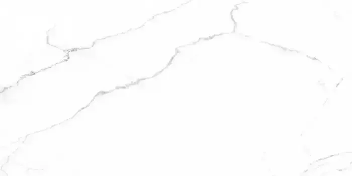 Напольная плитка «Laparet» Discovery Polish. 119,1x59,5 SG50002422R blanco