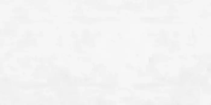 Напольная плитка «Laparet» Flagman Matt. 119,7х59,7 K952677R0001LPER светло-серый