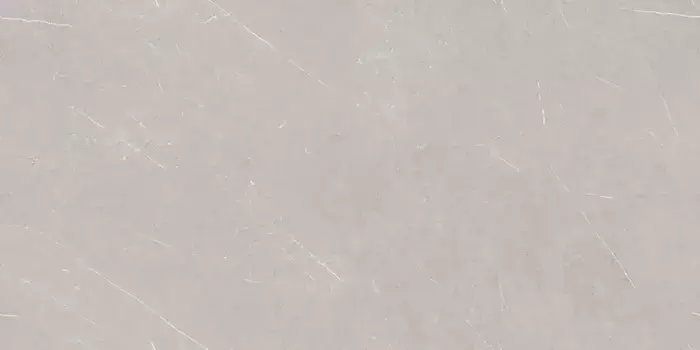 Напольная плитка «Laparet» French Smoke Polish. 120x60 х9999294537 светло-серый