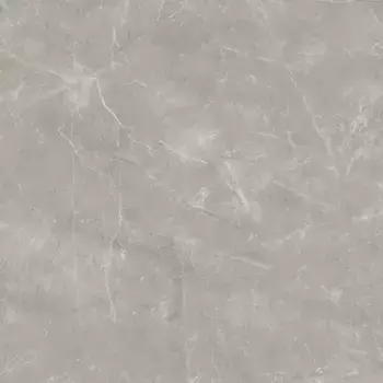 Напольная плитка «Laparet» Wolf Grey 80x80 х9999289550 серый
