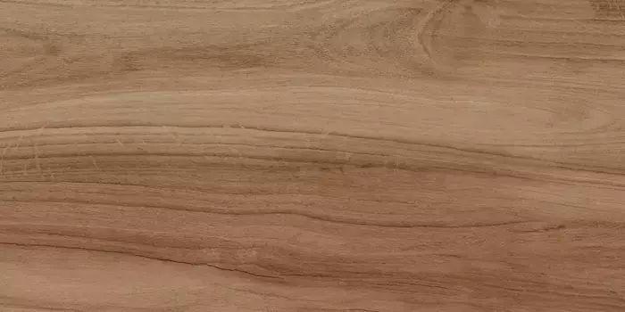 Напольная плитка «LB-CERAMICS» Шварц Matt. 60х30 СК000042569 натуральный