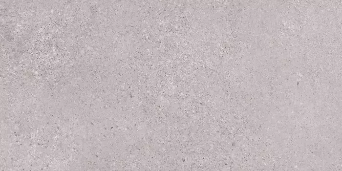 Напольная плитка «LB-CERAMICS» Трэверс Matt. 60х30 СК000042572 светло-серый