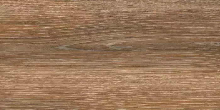 Напольная плитка «LB-CERAMICS» Винтаж Вуд Matt. 60x30 6260-0021 коричневый