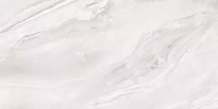 Напольная плитка «LCM» Argentina Polish. 120х60 60120ARI15P gray