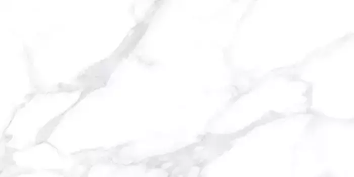 Напольная плитка «LCM» Dallas 120x60 60120DLL15P silver