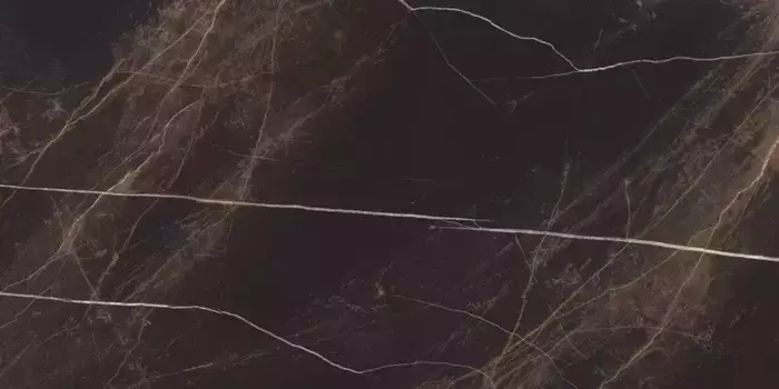 Напольная плитка «LV Granito» Encera High Glossy 120x60 СК000041472 coffe