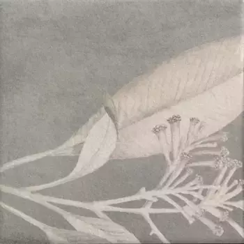 Напольная плитка «Mainzu» Soft Kamelia Grey Matt. 15x15 78803488 серый