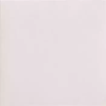 Напольная плитка «Mainzu» Technical Soft Matt. 20x20 PT03698 shell