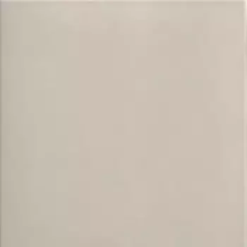 Напольная плитка «Mainzu» Technical Soft Matt. 20x20 PT03702 koala