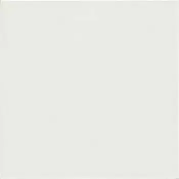 Напольная плитка «Mainzu» Trinity Riga Matt. 20x20 PT02983 white