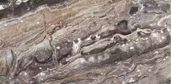 Напольная плитка «Neodom» Amadeus 120x60 N20328