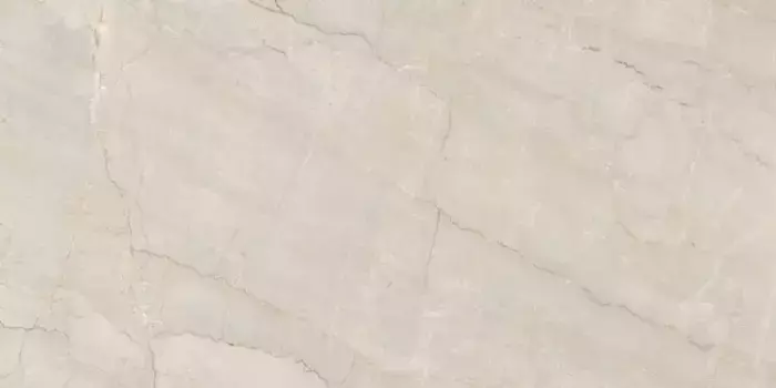 Напольная плитка «Neodom» Belvedere Polish. 120x60 N20466 luxe crystal