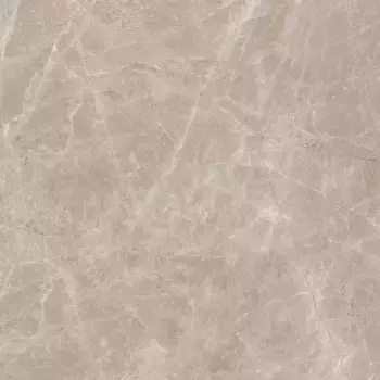 Напольная плитка «Neodom» Frappuccino Polish. 120x120 N20462 taupe