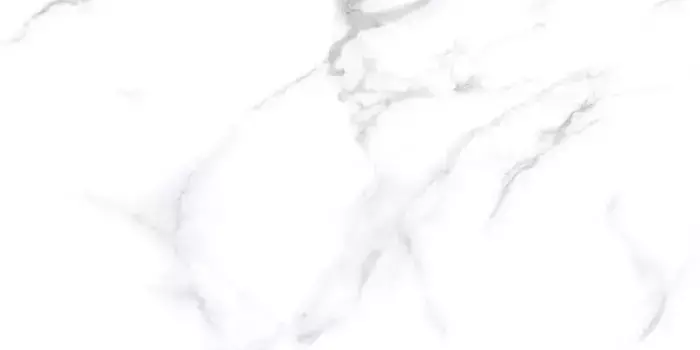 Напольная плитка «Neodom» Splendida Statuario Chic Matt. 120x60 N20532 белый